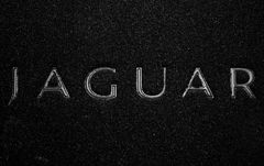 Органайзер в багажник Jaguar Medium Black - Фото 3