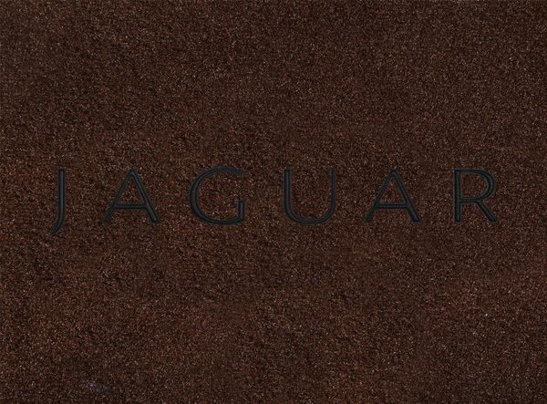 Двухслойные коврики Sotra Premium Chocolate для Jaguar XJ (X350)(багажник) 2002-2009 - Фото 2