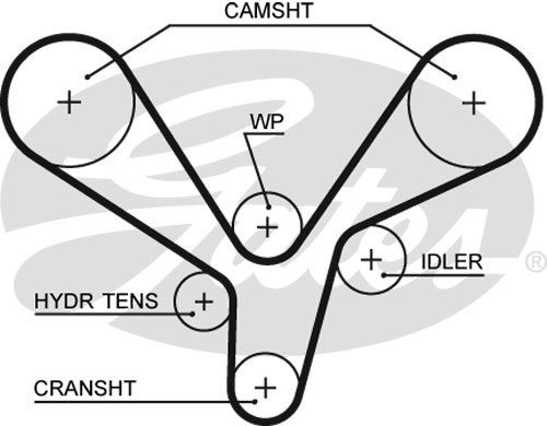 Ремінь ГРМ Gates 5636XS для Hyundai Santa Fe 2.7 V6; Kia Magentis / Opirus / Optima / Sedona (2.7 V6) - Фото 1