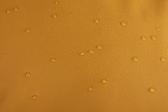 Спортивна сумка Thule Chasm Duffel 70L (Golden) - Фото 13