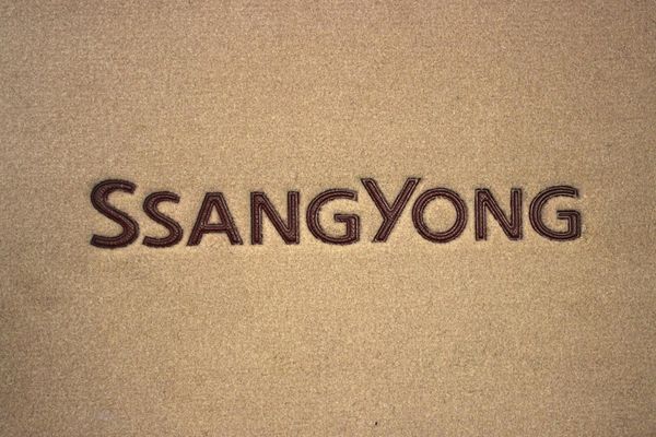Двошарові килимки Sotra Premium Beige для SsangYong Rodius (mkI)(1 ряд) 2004-2013 - Фото 5