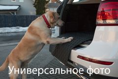 Гумовий килимок у багажник Gledring для Kia Sorento (mkIV) 2020→ (багажник із захистом) - Фото 3