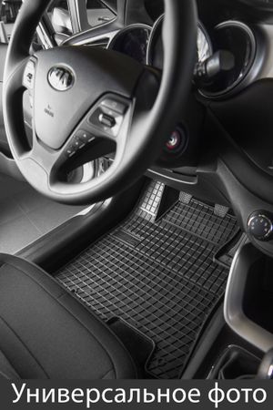 Гумові килимки Frogum для Renault D-Truck (mkI) 2013→ - Фото 2