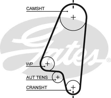 Ремінь ГРМ Gates 5310XS (8597-15310) для Chevrolet / Daewoo Aveo 1.4 / Lanos 1.3; 1.4; 1.5; Opel Astra / Corsa / Meriva / Vectra - Фото 1