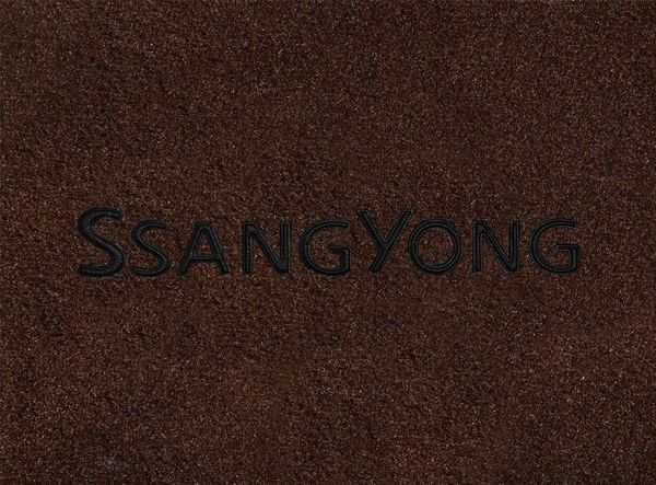 Двошарові килимки Sotra Premium Chocolate для SsangYong Rodius (mkI)(1 ряд) 2004-2013 - Фото 6