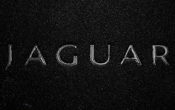 Органайзер в багажник Jaguar Small Black - Фото 3