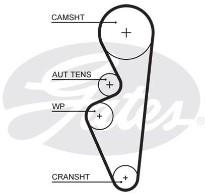 Ремінь ГРМ Gates 5670XS (8597-15670) для Лада Гранта / Калина  / Ларгус / Приора - Фото 1